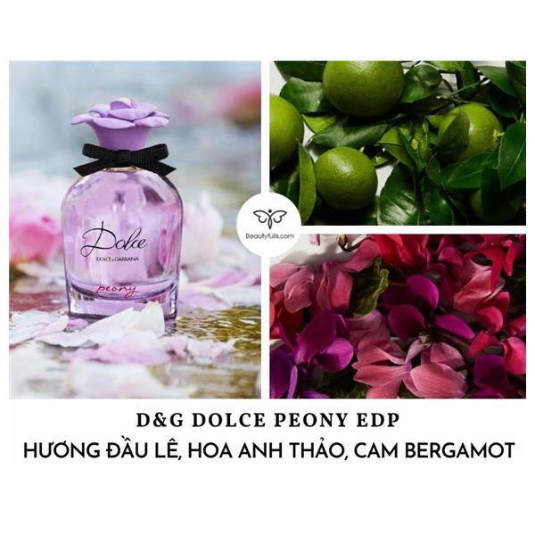 nước hoa dolce & gabbana dolce peony