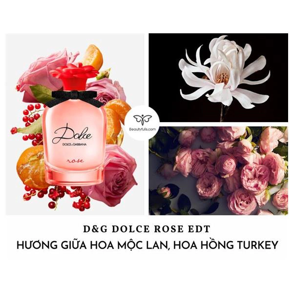 Nước Hoa Dolce & Gabbana Rose 30ml Dolce Eau de Toilette