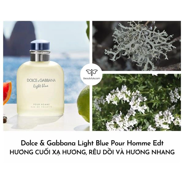 nước hoa Dolce & Gabbana Light Blue