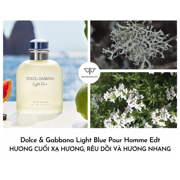 nước hoa Dolce & Gabbana Light Blue Pour Homme 