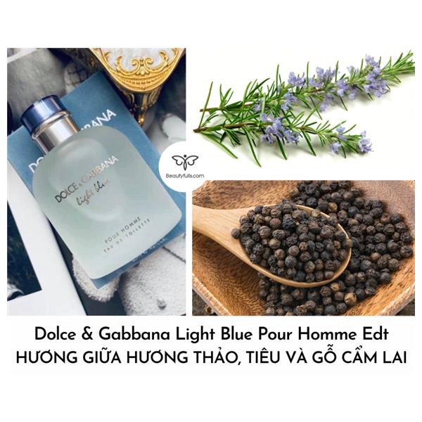 nước hoa Dolce & Gabbana Light Blue Pour Homme 