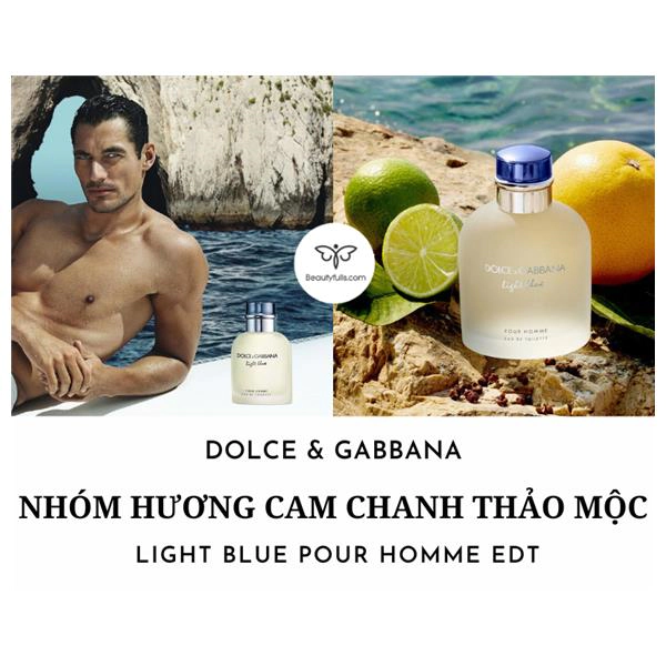 nước hoa Dolce & Gabbana nam