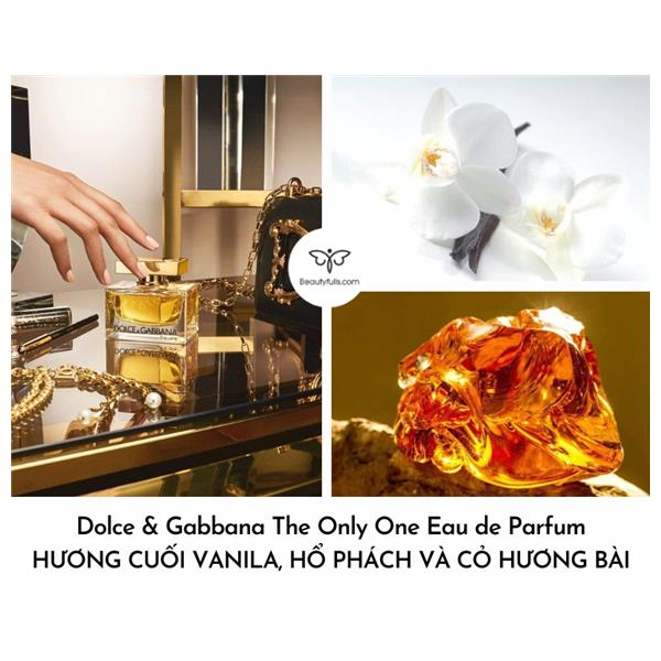 nước hoa Dolce & Gabbana nữ