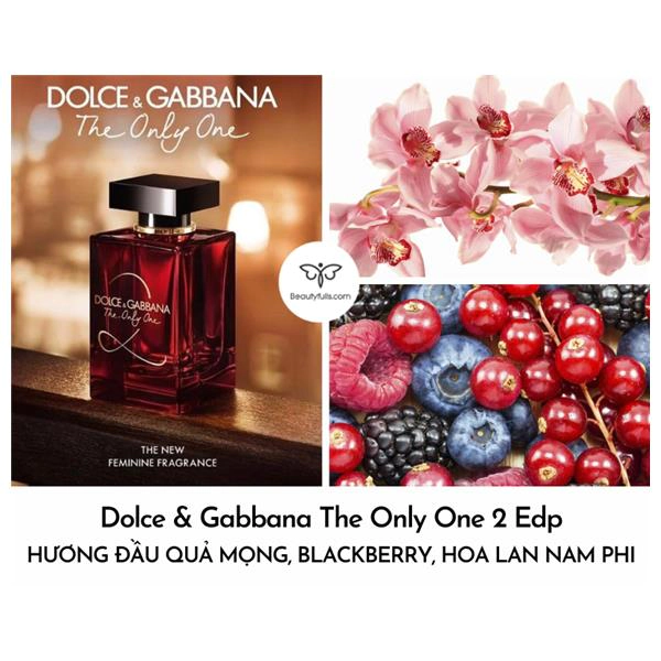 nước hoa Dolce & Gabbana The Only One 2