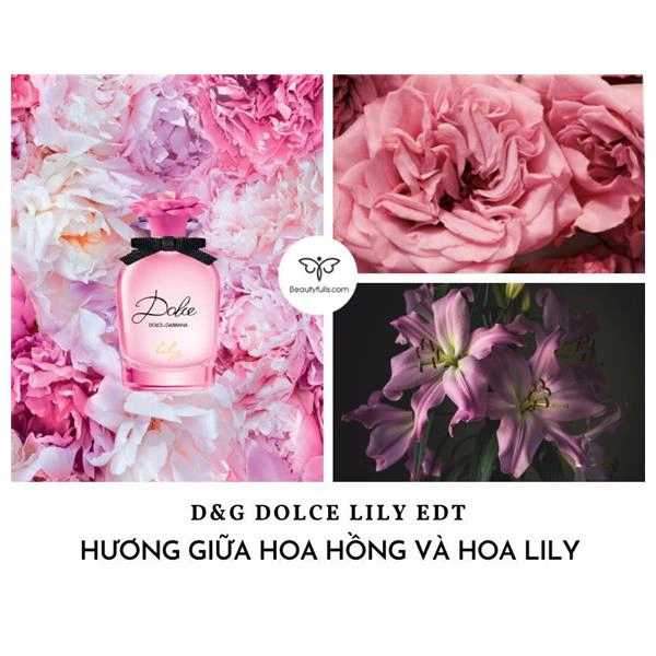 nước hoa dolce lily