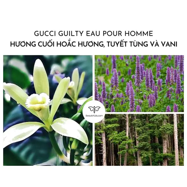 Nước Hoa Gucci Guilty Eau Pour Homme EDT 50ml
