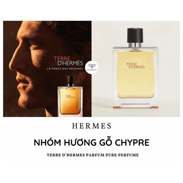 nước hoa hermes terre d'hermes