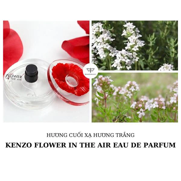 Nước Hoa Kenzo Flower In The Air
