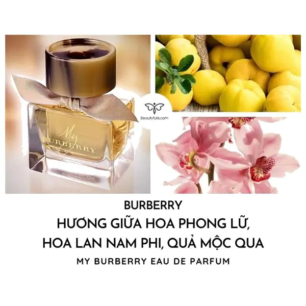nước hoa My Burberry Eau de Parfum