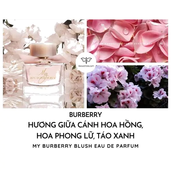 nước hoa My Burberry nữ