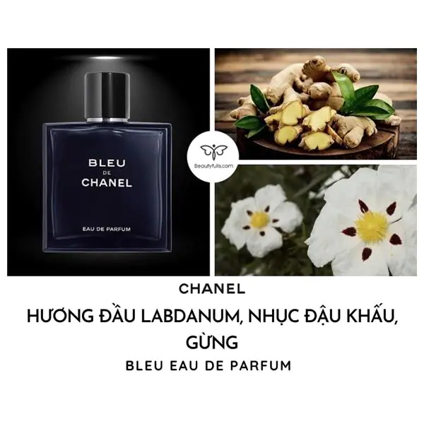 Review nước hoa Bleu De Chanel EDP 100ml mạnh mẽ cá tính đầy sang trọng
