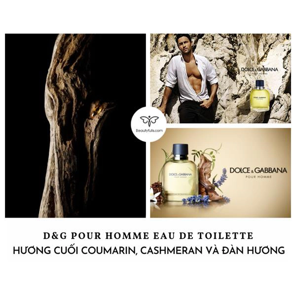 nước hoa nam d&g pour homme edt