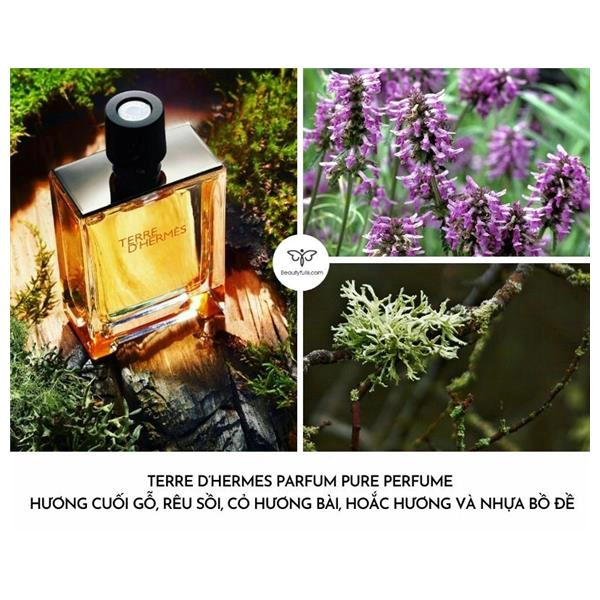 nước hoa nam terre d'hermes parfum