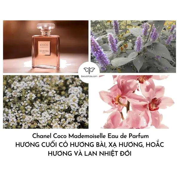Nước hoa Chanel CoCo Mademoiselle 35ml EDP  Nàng Xuân Authentic