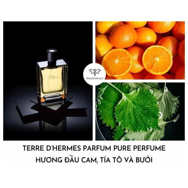 nước hoa terre d'hermes parfum pure perfume
