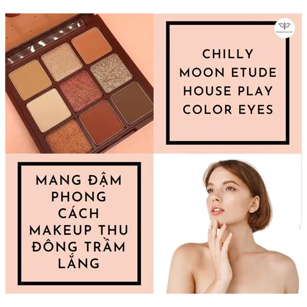 phấn mắt etude house play color eyes chilly moon