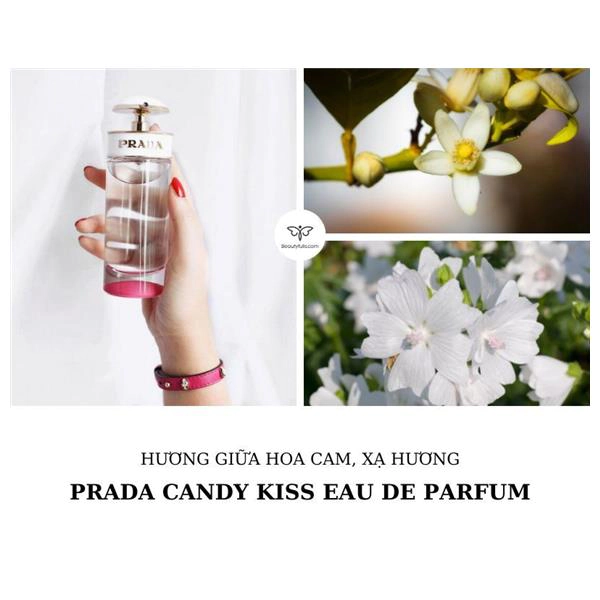 prada candy kiss