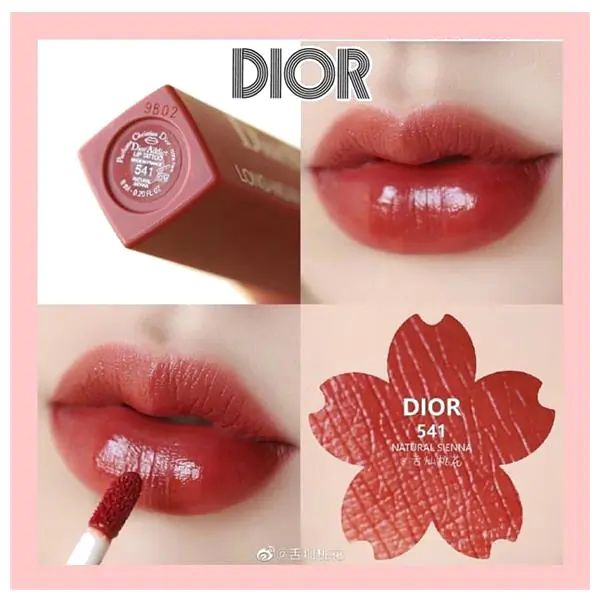 Son kem Dior 541 màu đỏ đất