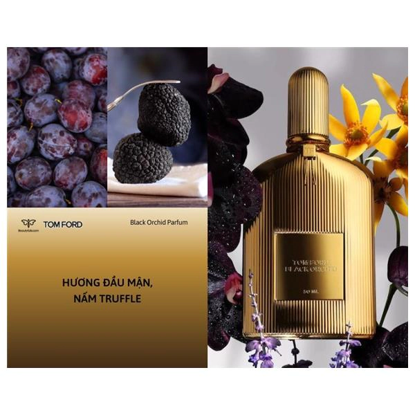 Nước Hoa Tom Ford Vàng 50ml Black Orchid Parfum Unisex