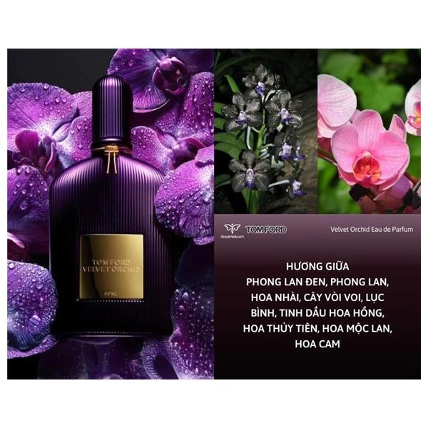 tom ford eau de parfum velvet orchid