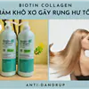 Dầu Gội Biotin Collagen Anti-Dandruff Shampoo 