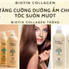 Dầu Gội Biotin Collagen chính hãng