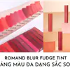 bảng màu son romand blur fudge tint
