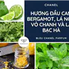 nước hoa nam bleu chanel 50ml