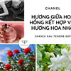 Nước Hoa Chanel Hồng Chance Eau Tendre EDP Cho Nữ 50ml