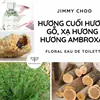 Nước Hoa Jimmy Choo Floral Eau De Toilette 40ml