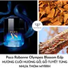 nước hoa Pure XS nam 50ml