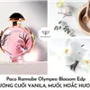 nước hoa Paco Rabanne Olympea Blossom 30ml