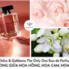 nước hoa nữ Dolce & Gabbana 