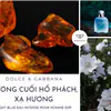 nước hoa Dolce & Gabbana xanh