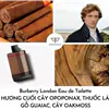 nước hoa nam Burberry London For Men