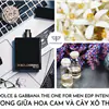 nước hoa Dolce and Gabbana The One For Men       