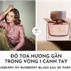 nước hoa Burberry Blush