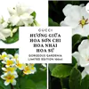 nước hoa gucci flora vàng gorgeous gardenia limited edition edt 
