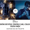 Nước Hoa Dior Sauvage 60ml EDT