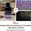 Dior Sauvage EDT