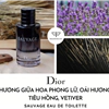 nước hoa nam Dior Sauvage