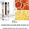 Dior Sport Homme 2017