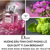 Nước Hoa Dior Miss Dior Rose N'Roses