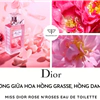 nước hoa Dior hồng 30ml