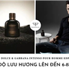 dolce gabbana pour homme intenso