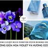 dolce & gabbana light blue forever eau de parfum