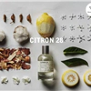 Citron 28 Le Labo