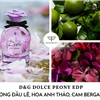 nước hoa dolce & gabbana dolce peony