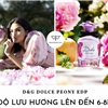 nước hoa dolce & gabbana peony