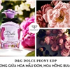 d&g dolce peony